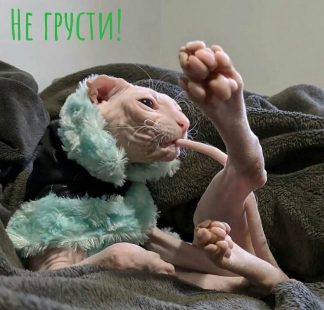 Самые свежие Фото приколы смешные до слез Юмор