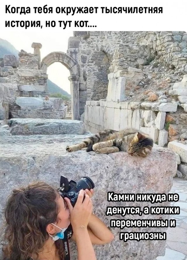 Самые свежие Фото приколы смешные до слез Юмор