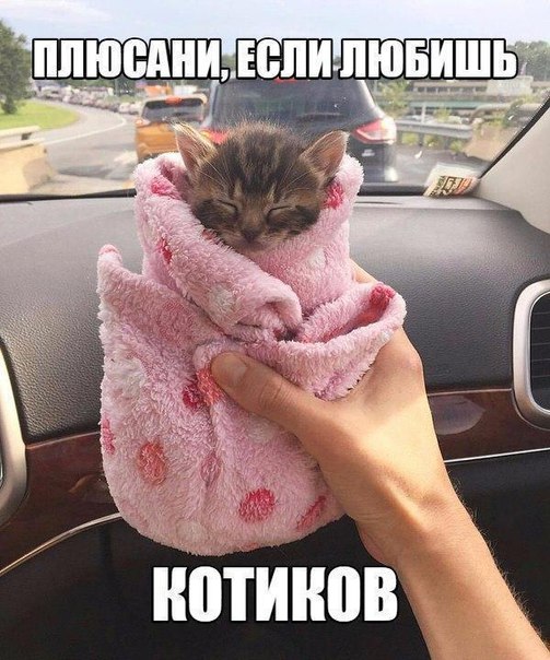 Самые свежие Фото приколы смешные до слез Юмор