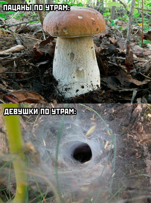 Самые свежие Фото приколы смешные до слез Юмор