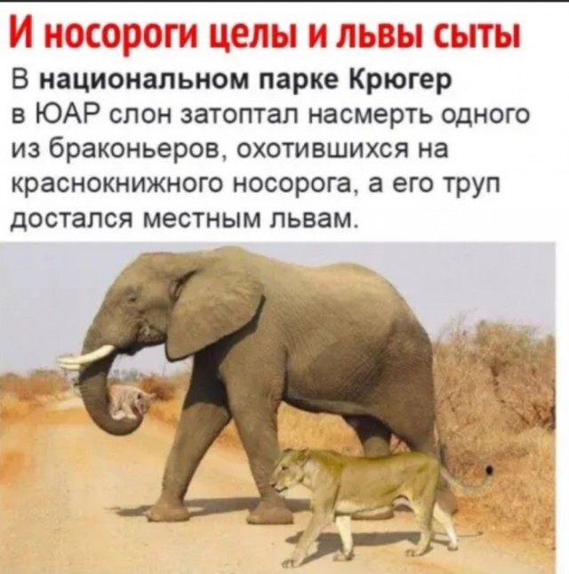Самые свежие Фото приколы смешные до слез Юмор