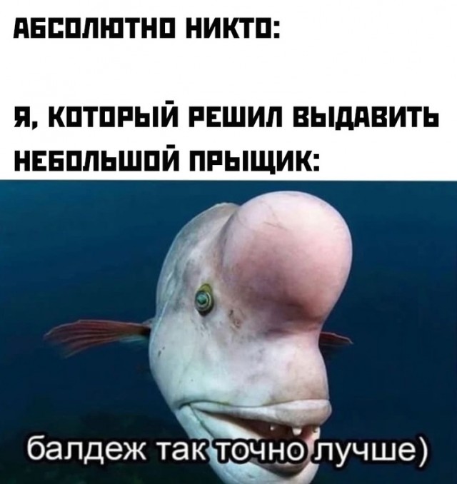 Самые свежие Фото приколы смешные до слез Юмор