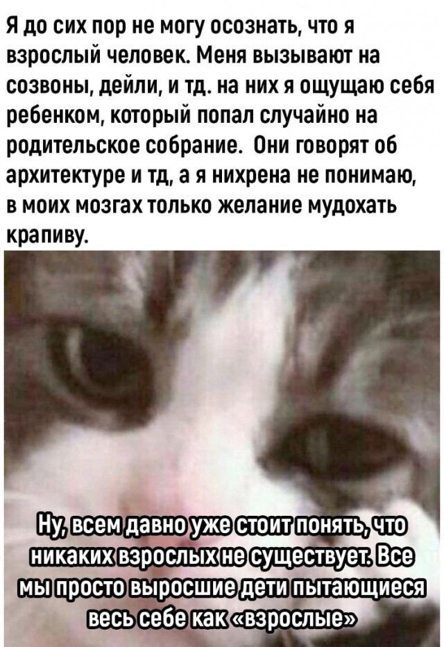 Самые свежие Фото приколы смешные до слез Юмор