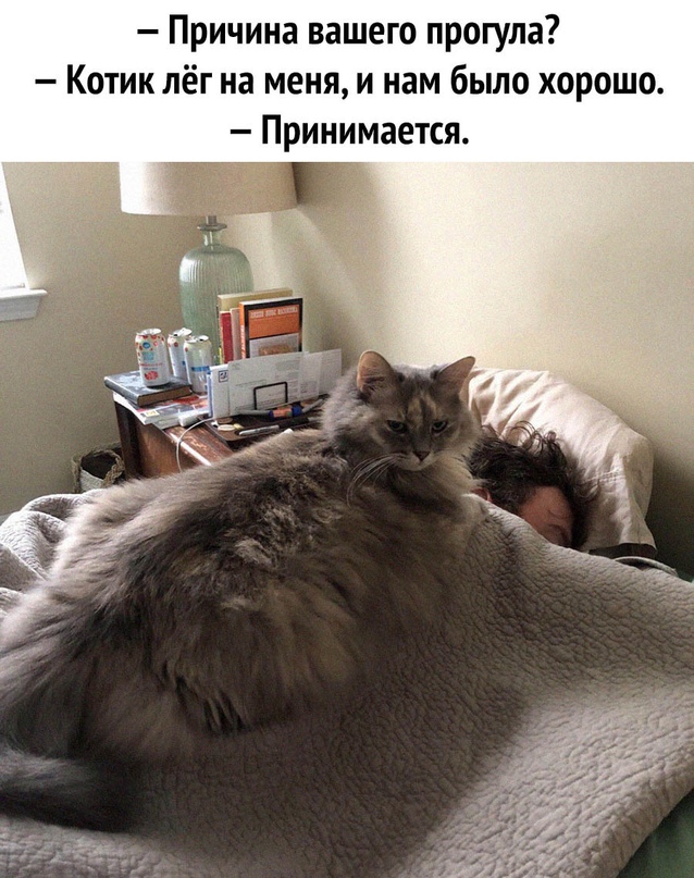 Лучшие картинки за 2022 год