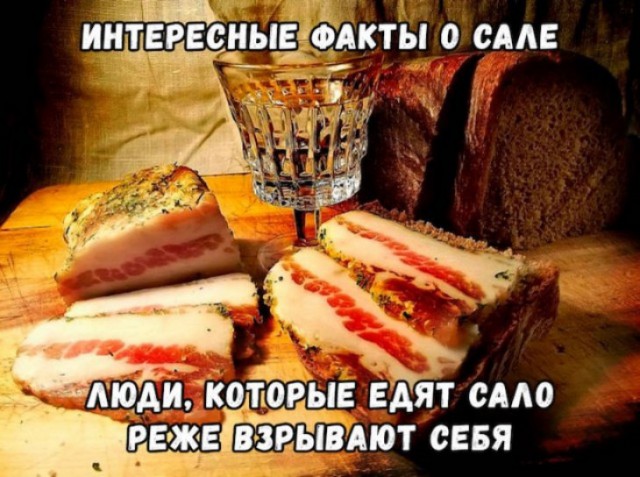 Новые смешные картинки приколы Новые смешные картинки приколы Юмор