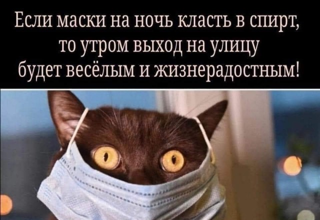 Смешные приколы до слёз читать бесплатно Юмор