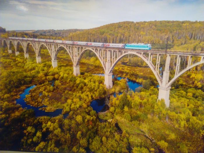 Самая смешная подборка веселых картинок и фотографий Картинки