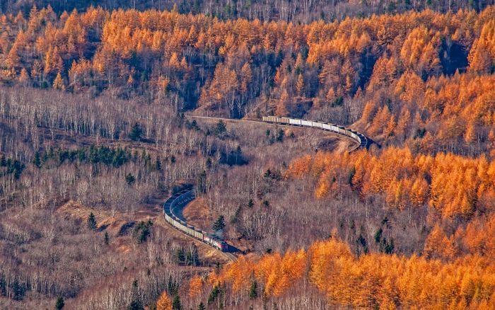 Самая смешная подборка веселых картинок и фотографий Картинки