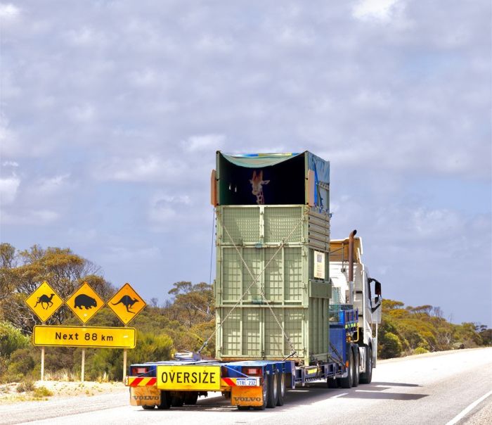 Весёлые и позитивные картинки приколы Весёлые и позитивные картинки приколы Картинки