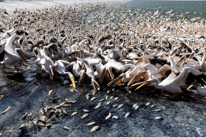 Весёлые и позитивные картинки приколы Весёлые и позитивные картинки приколы Картинки