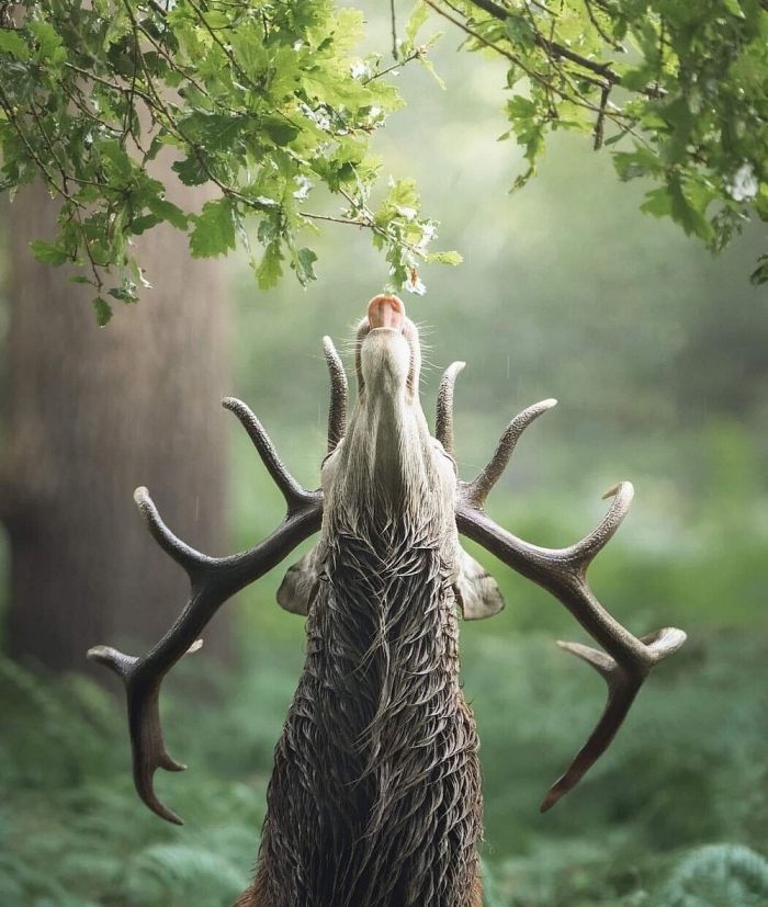 Весёлые и позитивные картинки приколы Весёлые и позитивные картинки приколы Картинки