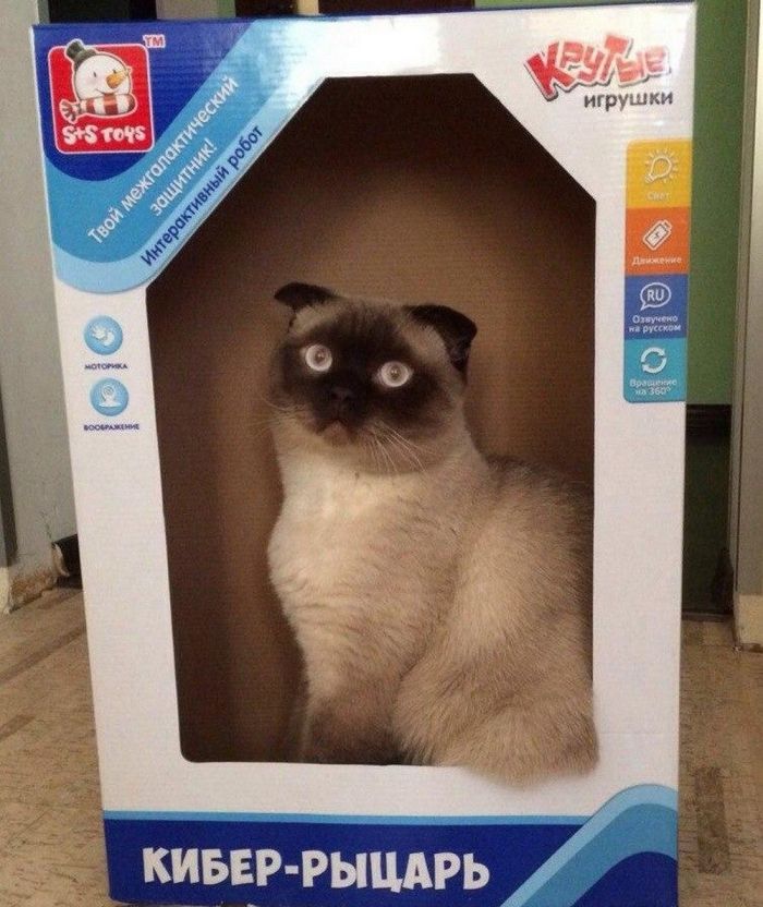 Весёлые и позитивные картинки приколы Весёлые и позитивные картинки приколы Картинки