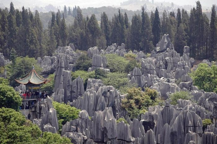 Секреты загадочного китайского леса Шилинь С миру по нитке