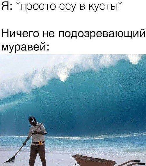 Неприличные смешные картинки