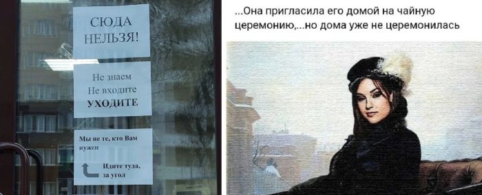 Фото-приколы и смешные картинки для настроения