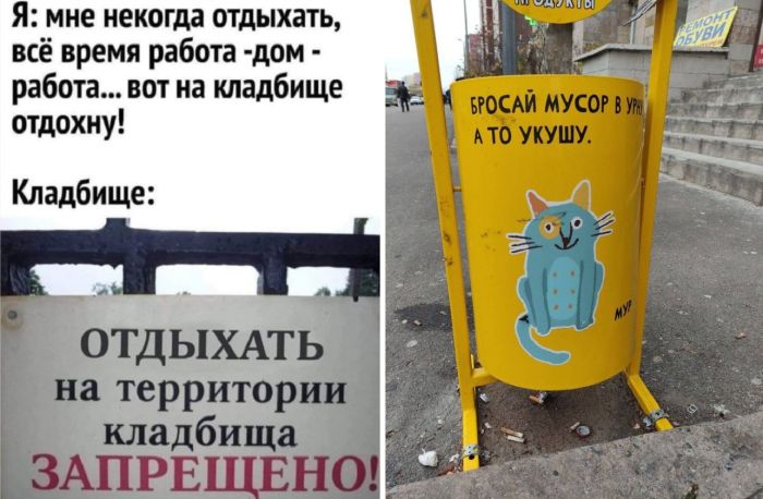 Море позитива и прикольные картинки