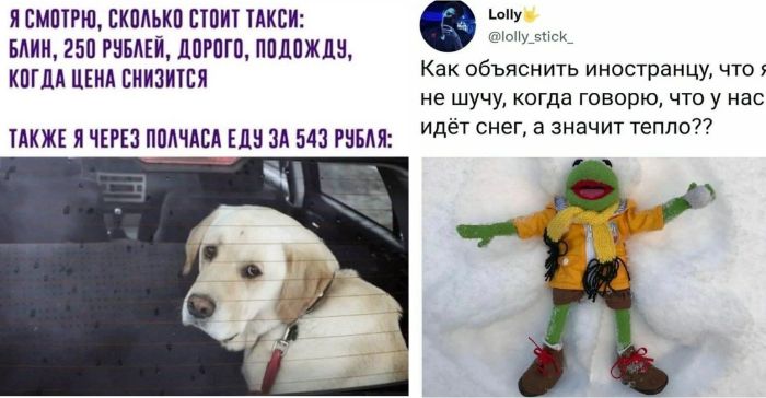 Новые приколы с комментариями и картинками