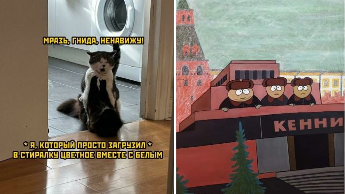 Смешные прикольные картинки и фото приколы