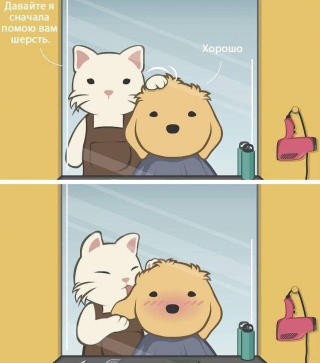 Непристойный юмор в картинках