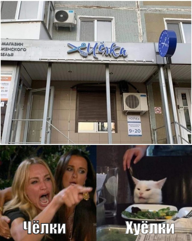 Смотреть самые новые смешные картинки Смотреть самые новые смешные картинки Юмор