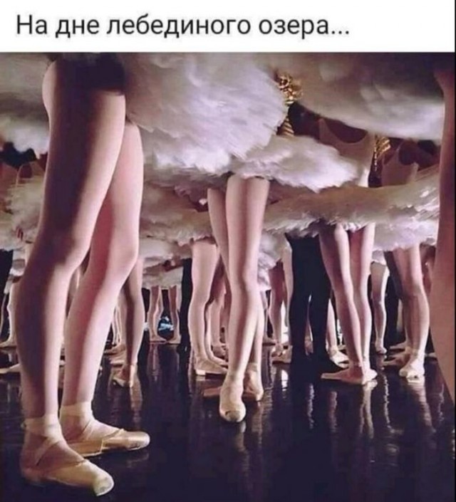 Смотреть самые новые смешные картинки Смотреть самые новые смешные картинки Юмор