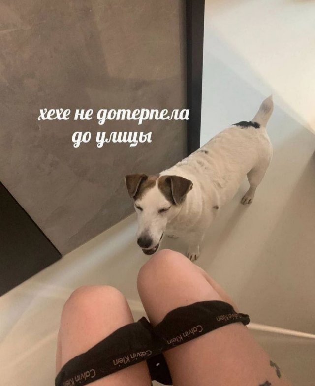 Смотреть самые новые смешные картинки Смотреть самые новые смешные картинки Юмор