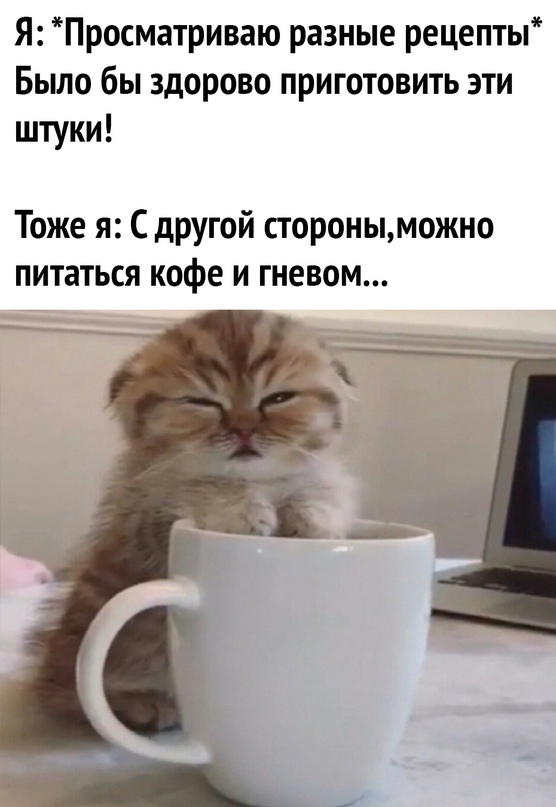 Смотреть самые новые смешные картинки Смотреть самые новые смешные картинки Юмор