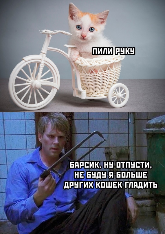 Юмор без политики Картинки