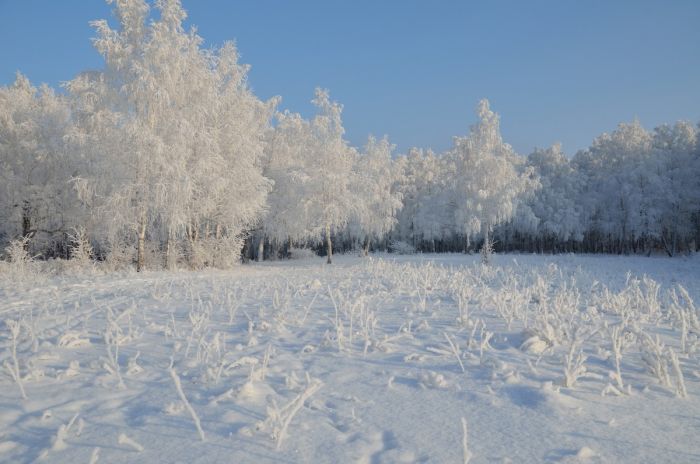 Юмор без политики Картинки