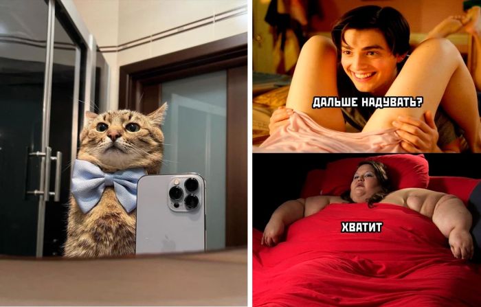 Безумно смешные картинки для настроения