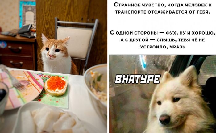 Картинки-приколы новые смешные