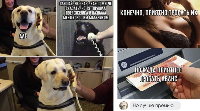 Комментарии и картинки с юмором