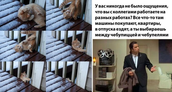 Лучшие приколы, картинки и фотки