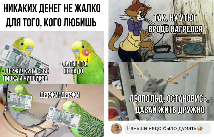 Отборные приколы из социальных сетей