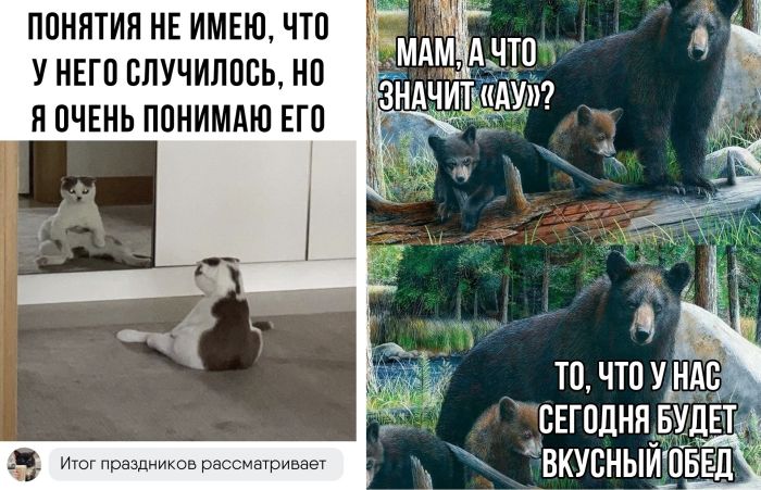 Приколы и комментарии новые, смешные