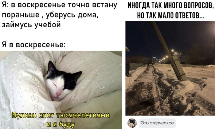 Самое забавное из социальных сетей