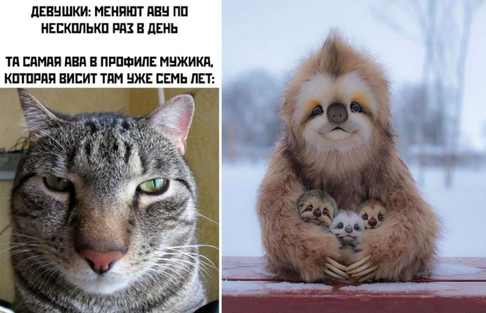 Смотреть самые новые картинки-приколы