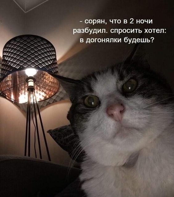 Не спится картинки прикольные с надписями
