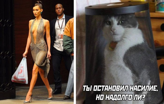 Картинки приколы и позитивные фото