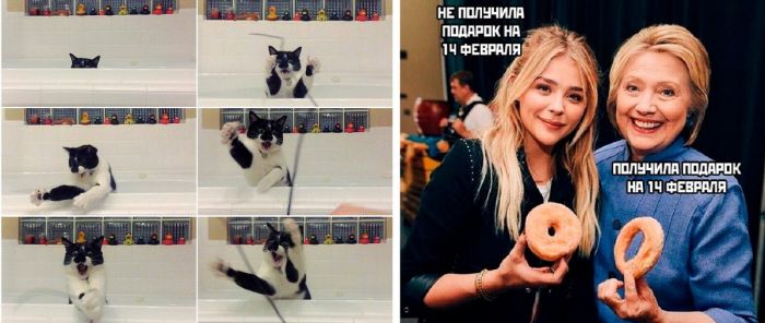 Новые картинки с прикольными надписями