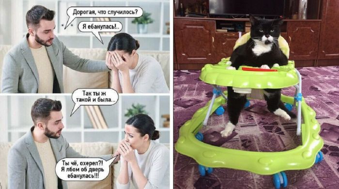 Очень смешные картинки и фото приколы