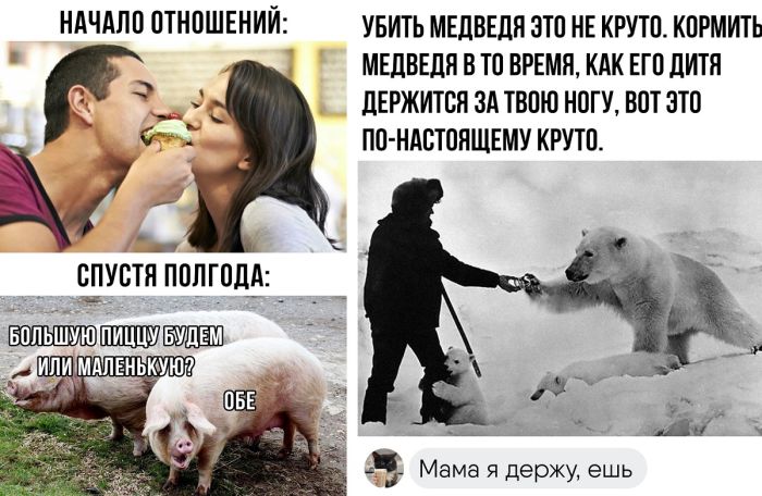 Остроумные комментарии и мемы