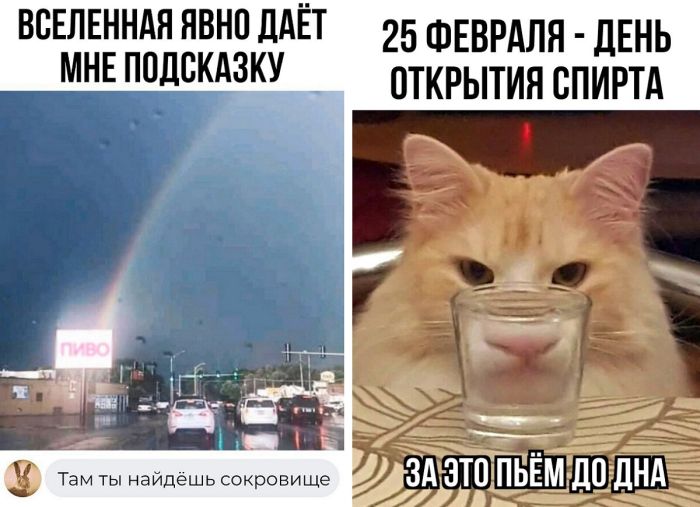 Отборный юмор и комментарии из соцсетей