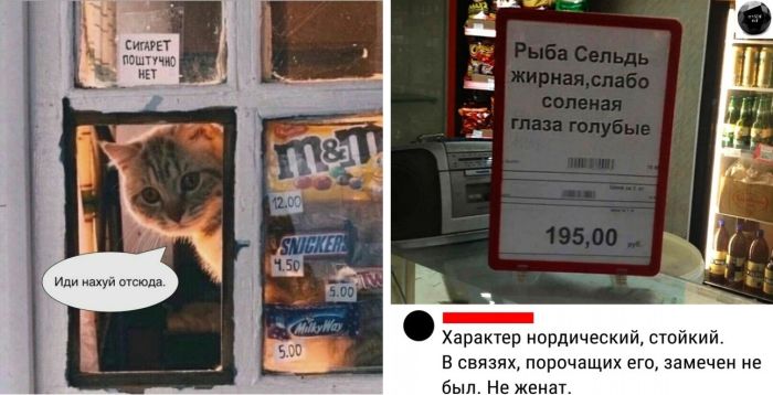 Самые свежие пошлые приколы, смешные до слез