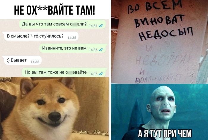 Смотреть самое смешное из социальных сетей