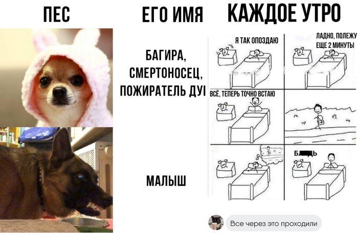 Лучшие шутки из социальных сетей (45 фото)