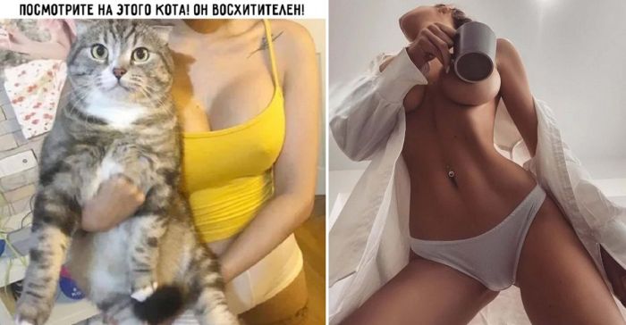 Неприличные картинки с надписями