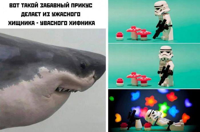 Новые картинки с приколами, смешные до слез