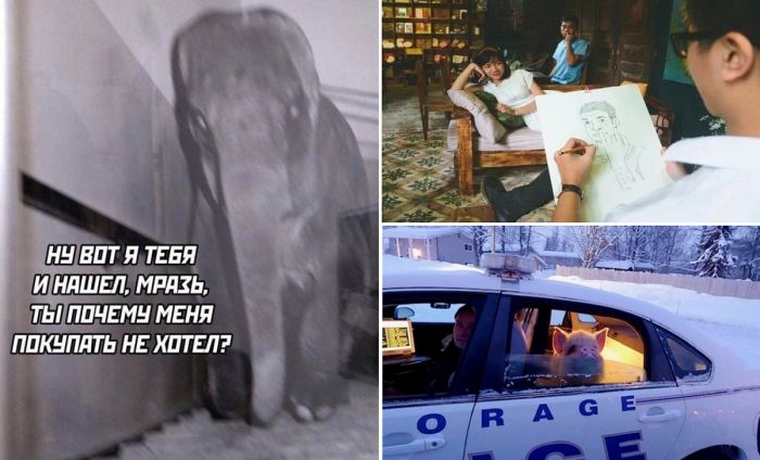 Смешные картинки - подборка приколов