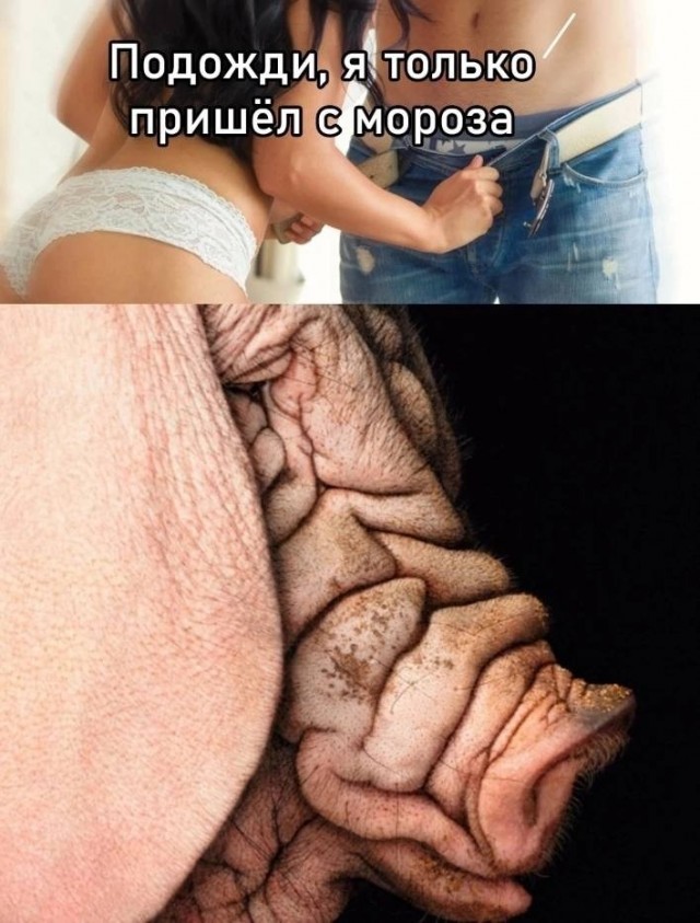 p голые и смешные - лучшее порно видео на massage-couples.ru